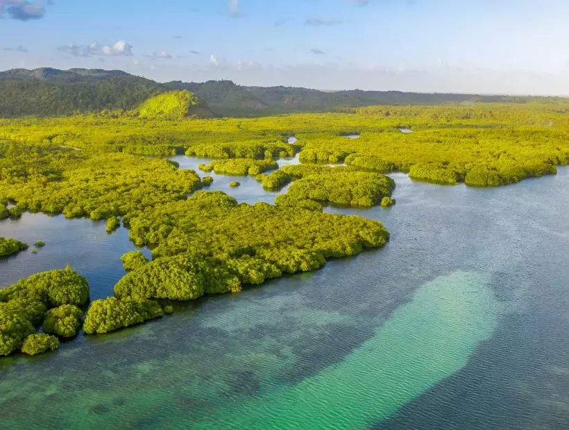 Amazonas Brasilien