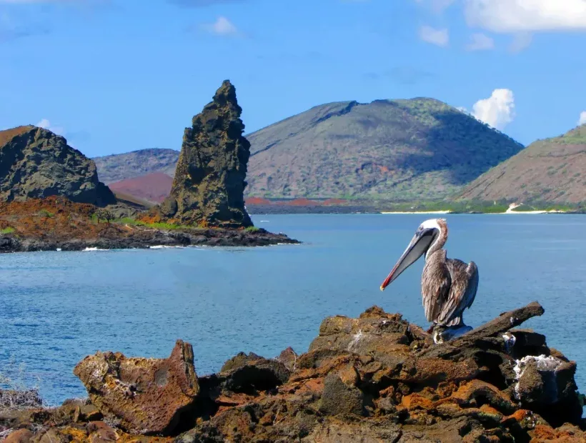 Bartolome Galapagos