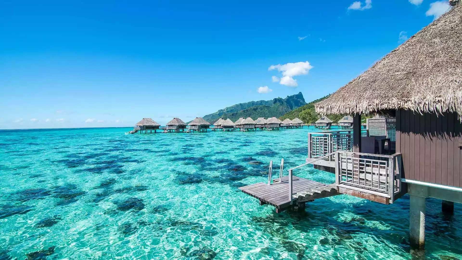 Tahiti und Gesellschaftsinseln