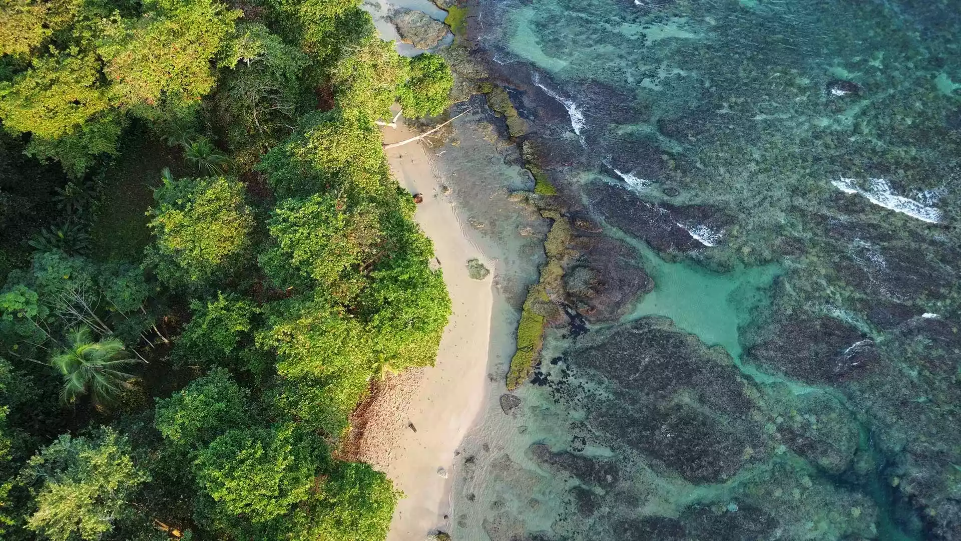 Strand in Costa Rica