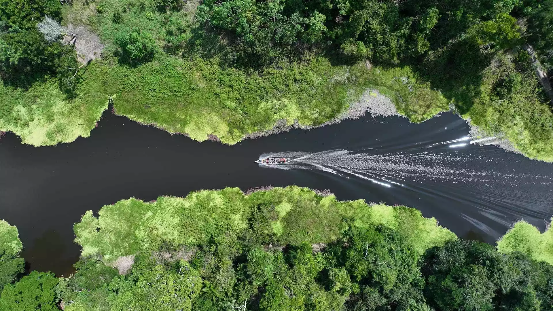 Bootstour auf dem Amazonas