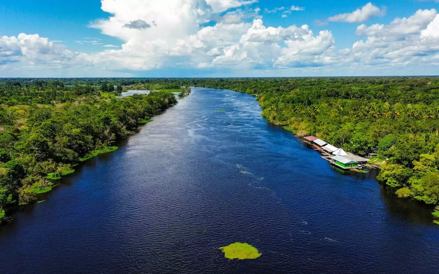 Blick auf den Amazonas im Regenwald